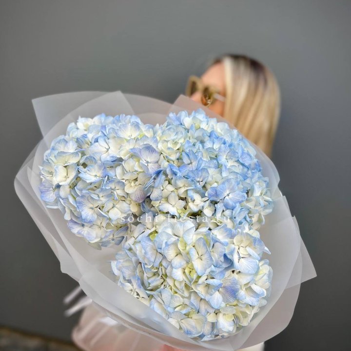 Букет из 3 голубых гортензий  в Адлере
