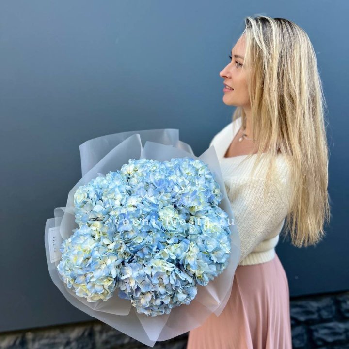 7 голубых гортензий в Адлере