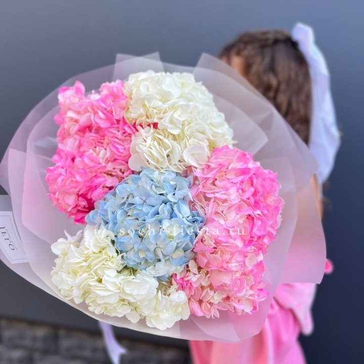 7 гортензий микс в Адлере
