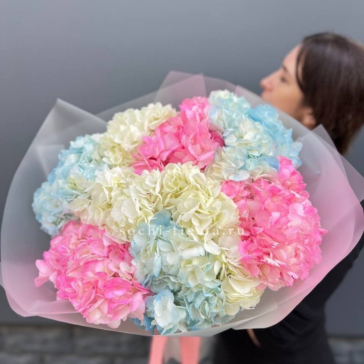 9 гортензий микс в Адлере