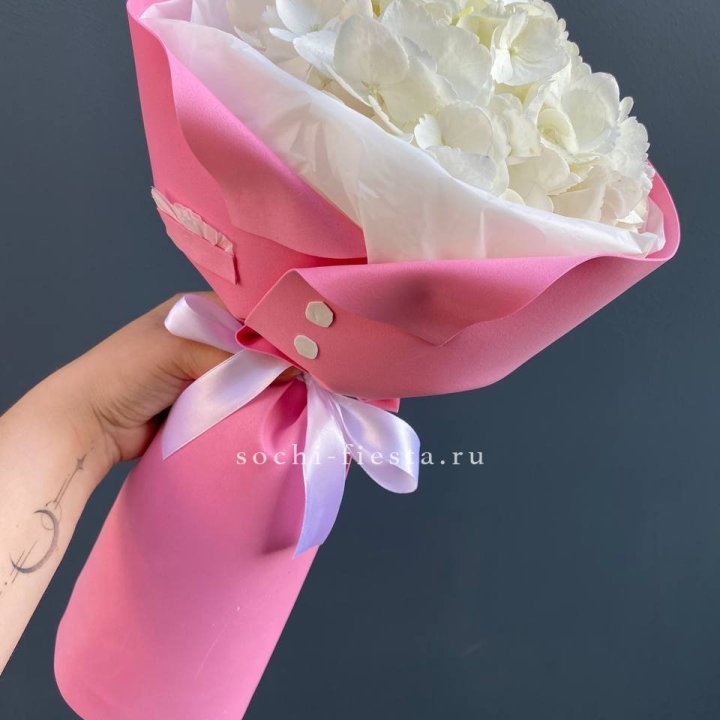 Гортензия в розовом пиджаке в Адлере