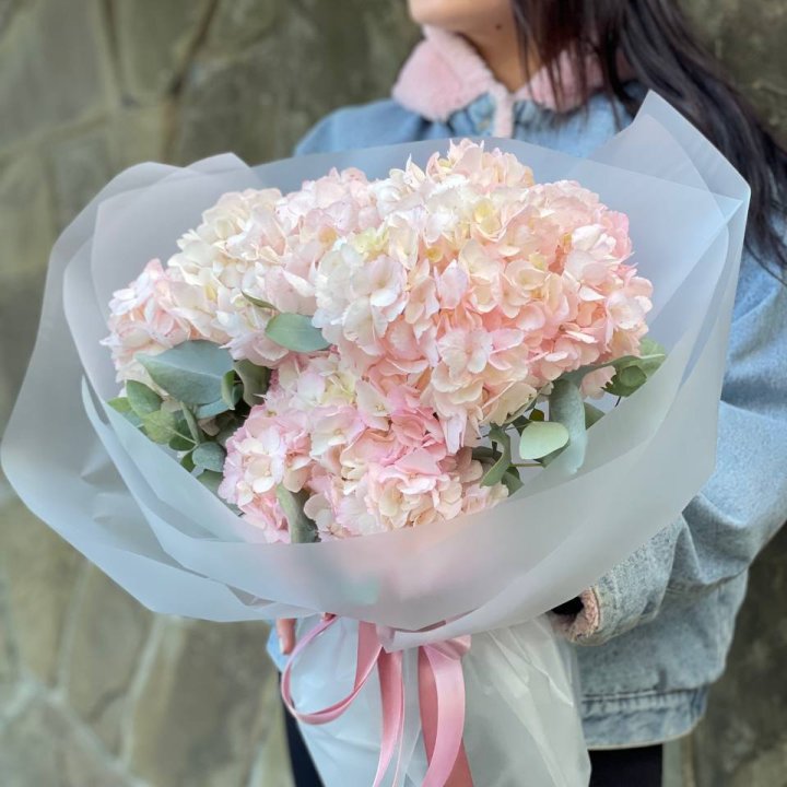 5 розовых гортензий в Адлере