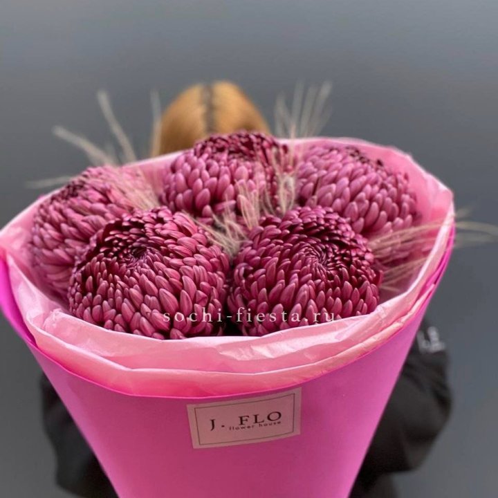 Хризантемы  Бигуди с стифой в Адлере