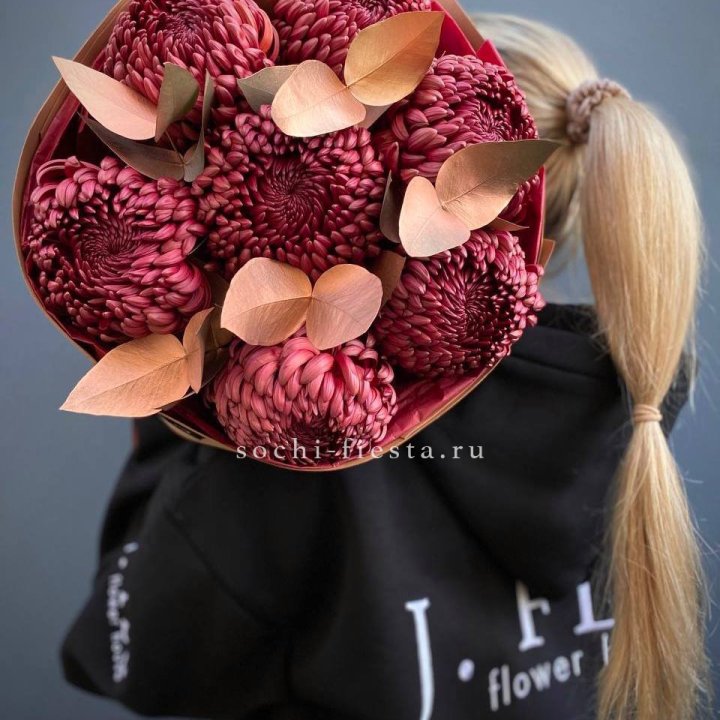 Хризантемы Gold Chocolate в Адлере