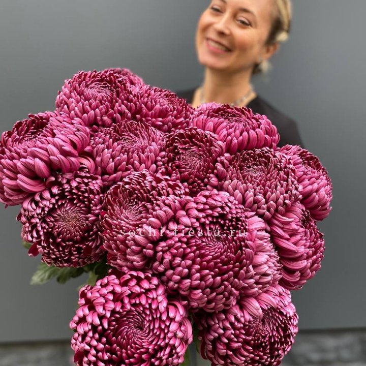 Охапка хризантем Бигуди в Адлере