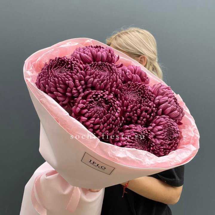 9 хризантем бигуди в Адлере