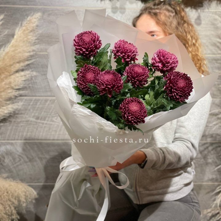 Хризантемы Бигуди в Адлере