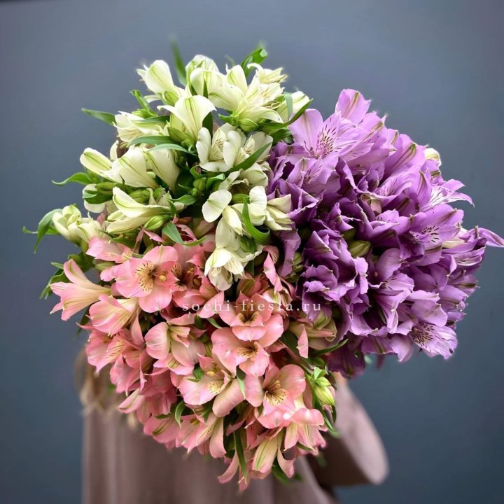 Охапка Альстромерии в Адлере