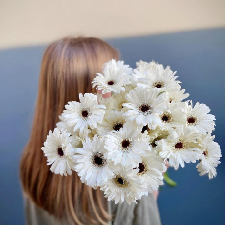 Охапка Гербер в Адлере