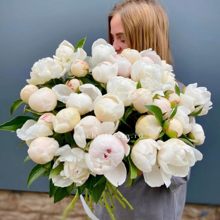 Охапка Пионов в Адлере