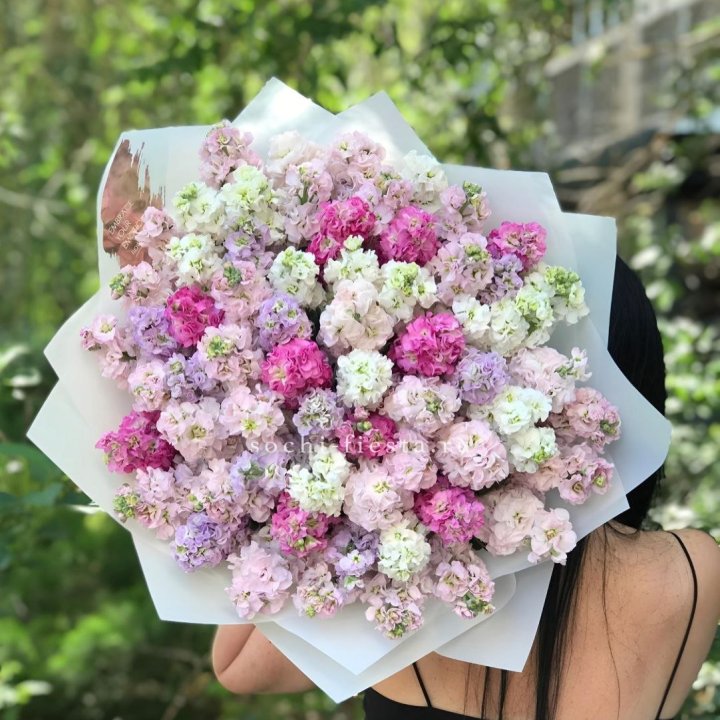 Букет ароматной маттиоллы №3 в Адлере