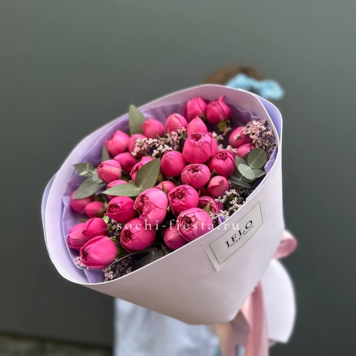 Мисти Баблс  "Кремиси" в Адлере