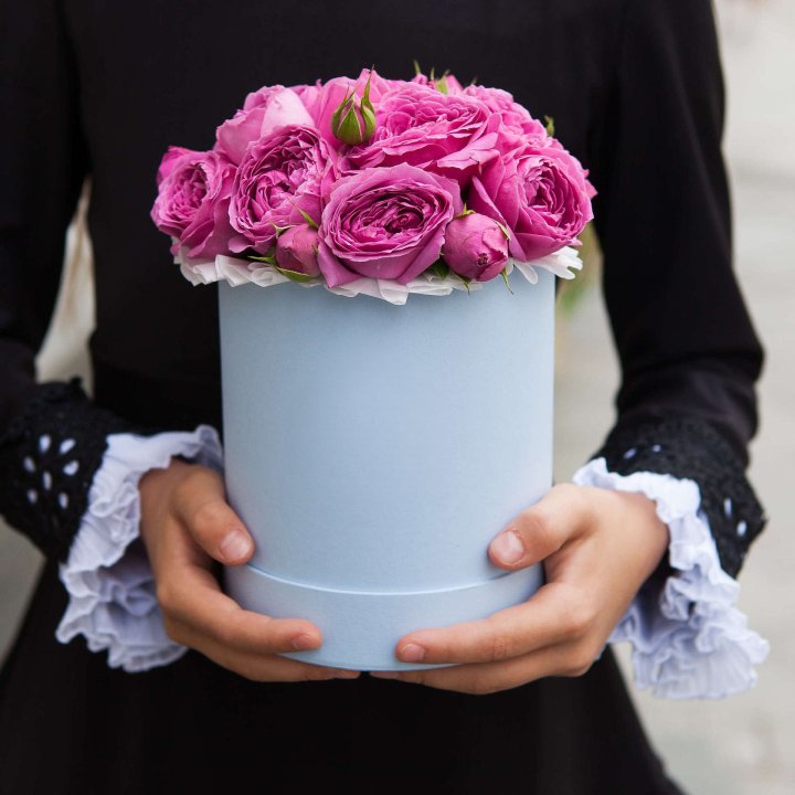 Misty mini box в Адлере