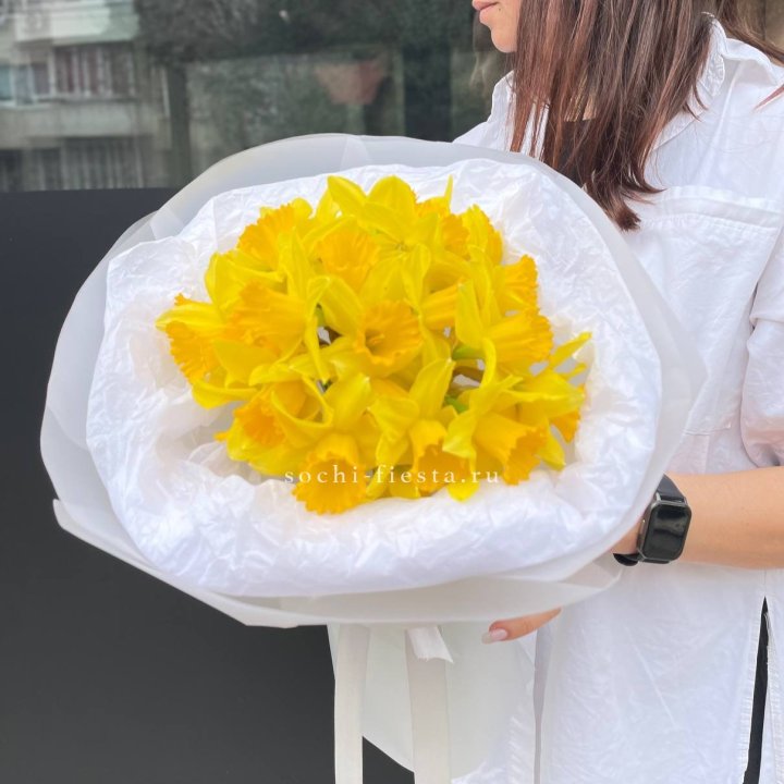 Нарциссы 25 шт в Адлере