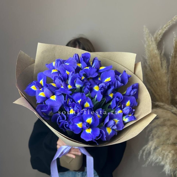 Ирисы в Адлере