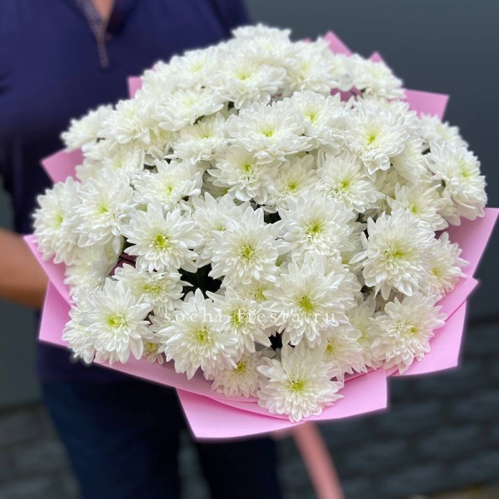  Букет 15 хризантем  в Адлере