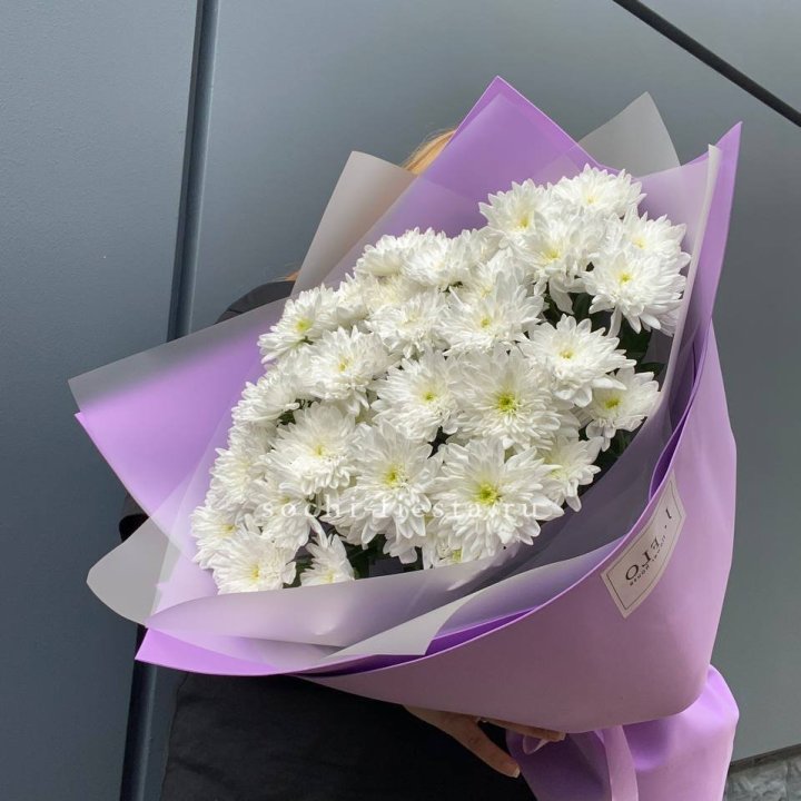  7 хризантем  в Адлере