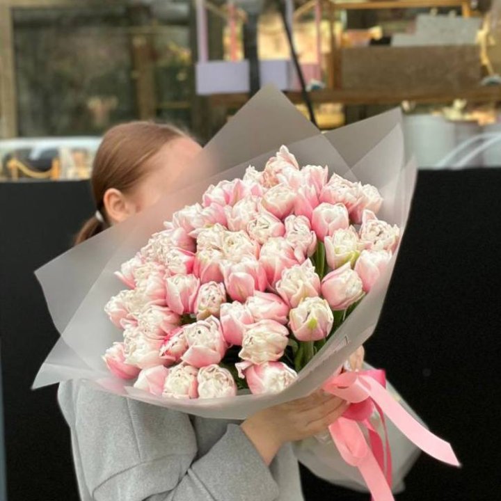 51 нежный тюльпан в Адлере