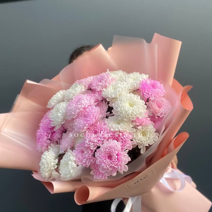  Букет бело-розовых хризантем  в Адлере
