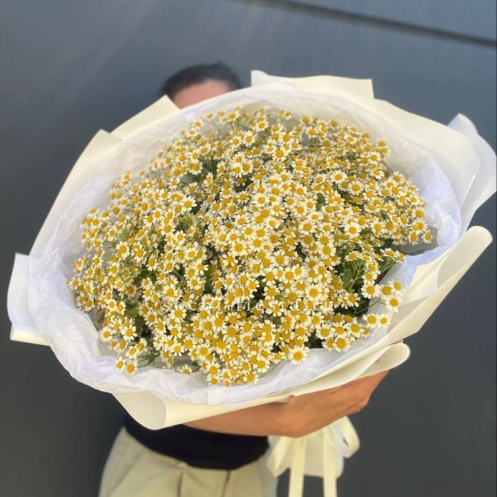 Букет ромашек №2 в Адлере