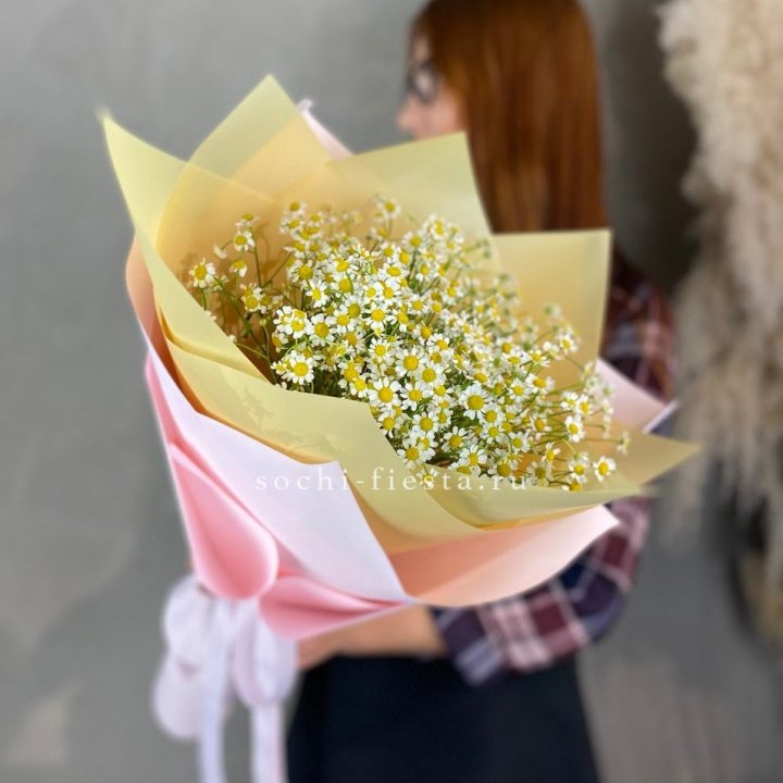 Букет ромашек №3 в Адлере