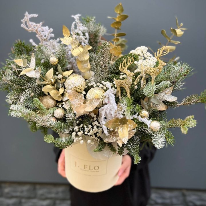 Золотой бокс с нобилисом в Адлере