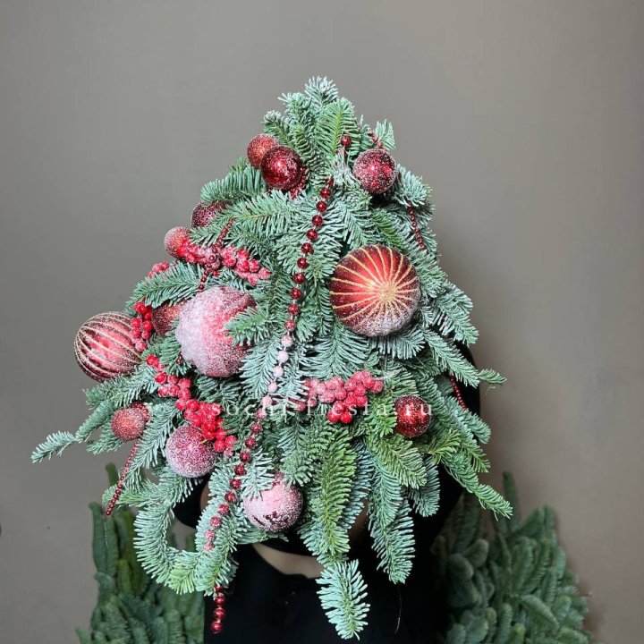 Ёлка красная в Адлере