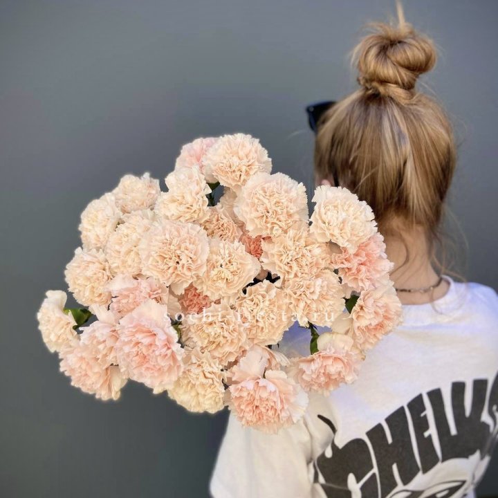 Охапка Диантусов  в Адлере