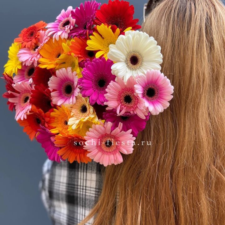 Охапка Гербер Разноцветных в Адлере