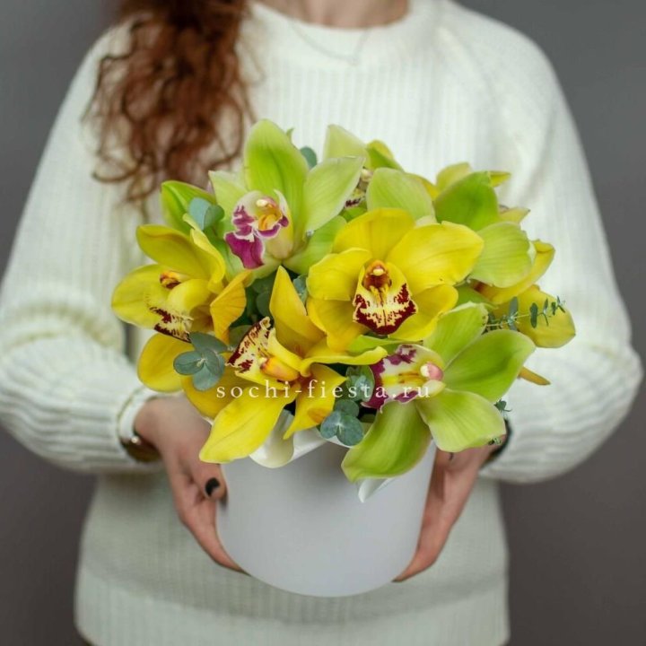 Бокс с орхидей №1 в Адлере