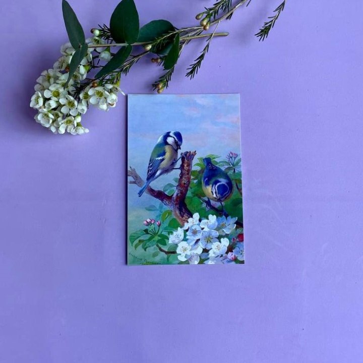 Открытка к букету "Птицы" в Адлере