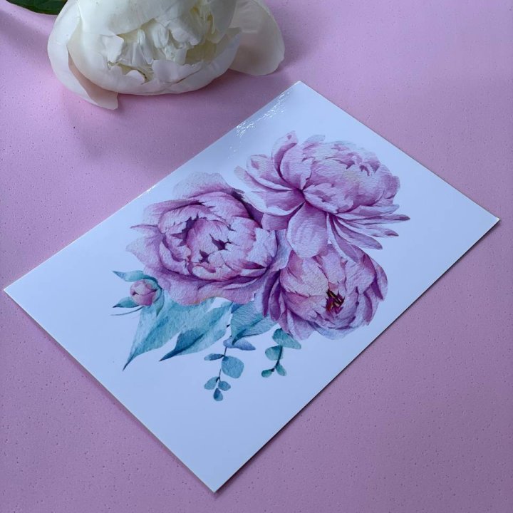 Открытка к букету "Пионы" в Адлере