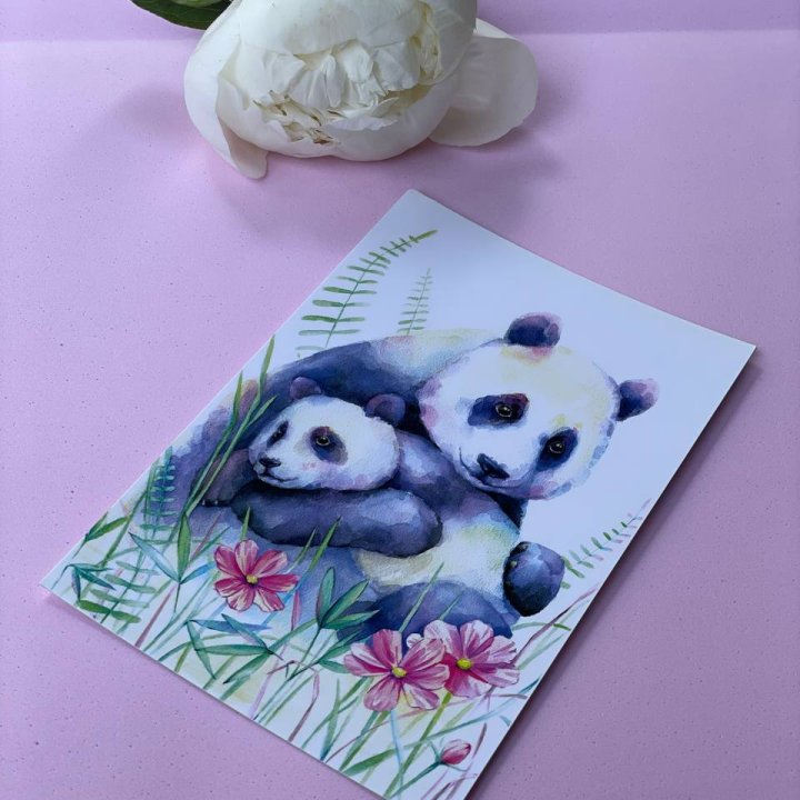 Открытка к букету "Объятие Панды" в Адлере