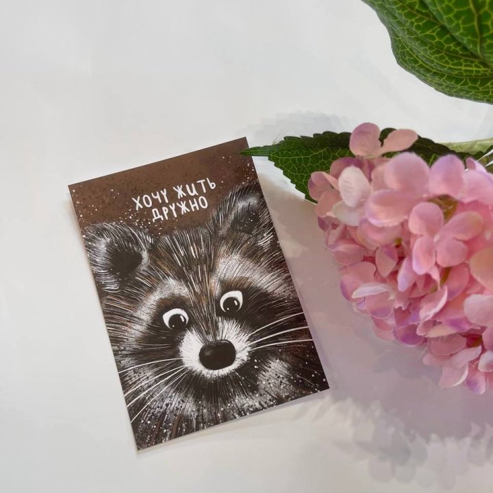 Открытка к букету "Енотик" в Адлере