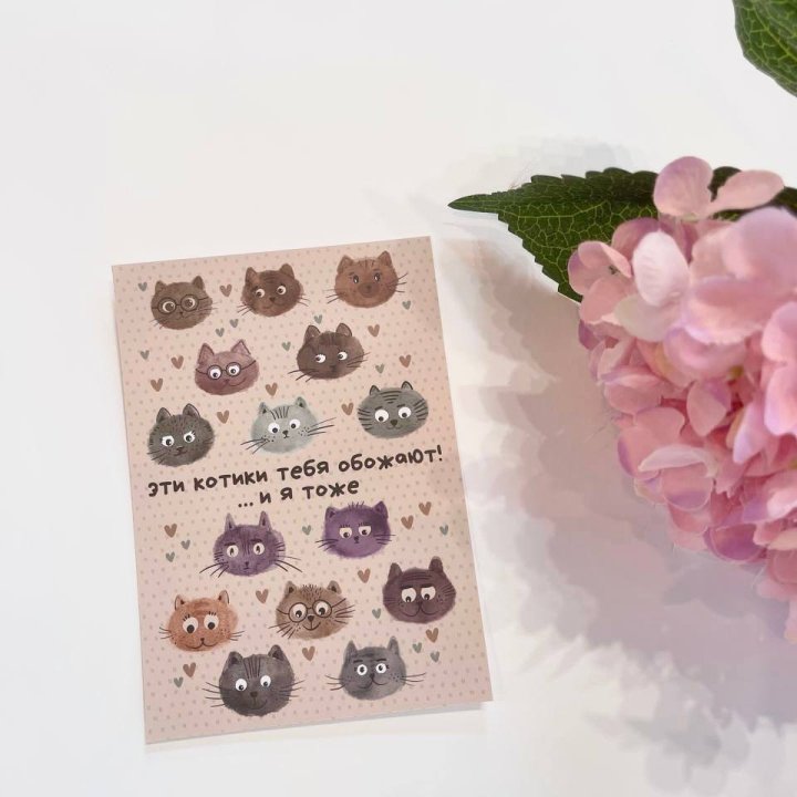 Открытка к букету "Котики" в Адлере