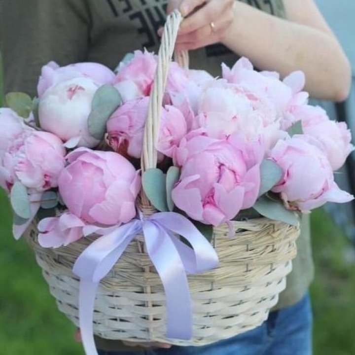 15 пионов в корзине в Адлере