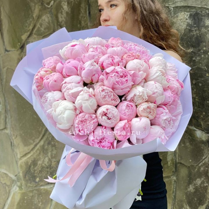 39 нежных пионов в Адлере