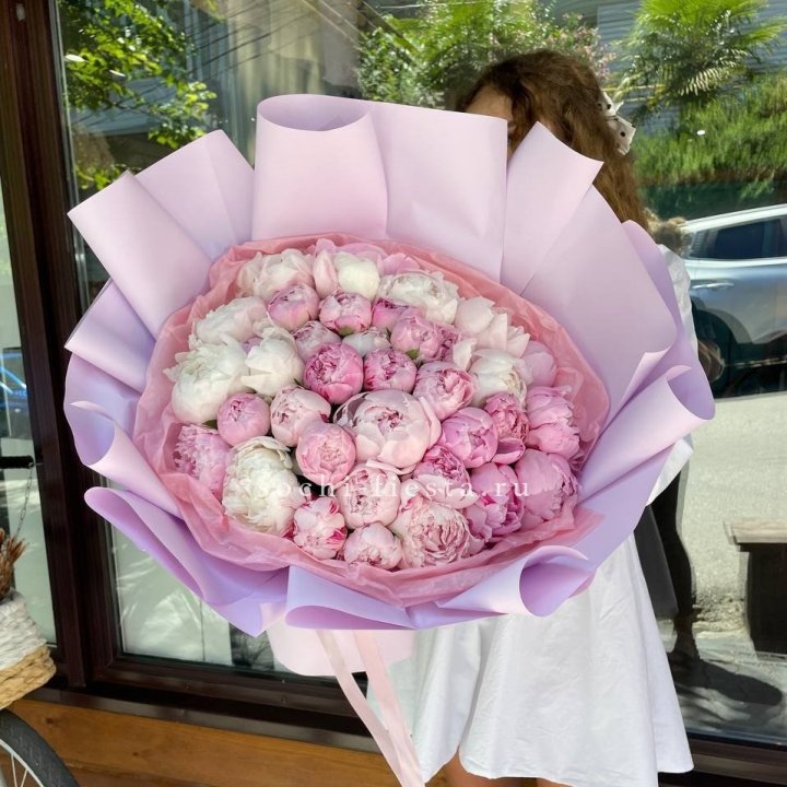 51 розовый пион в Адлере