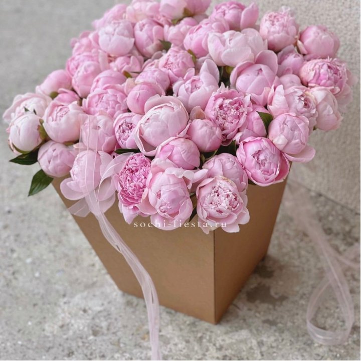 49 пионов в крафт коробке в Адлере