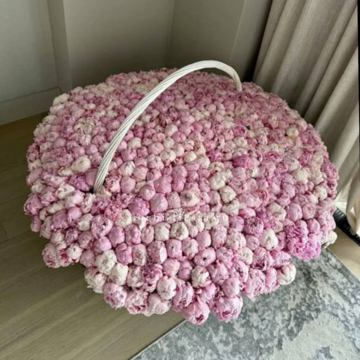 Корзина 555 пионов в Адлере