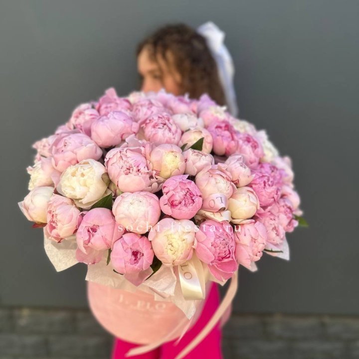 51 нежных пионов  в цилиндре в Адлере