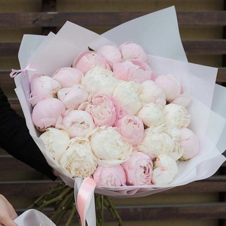 29 пионов в Адлере