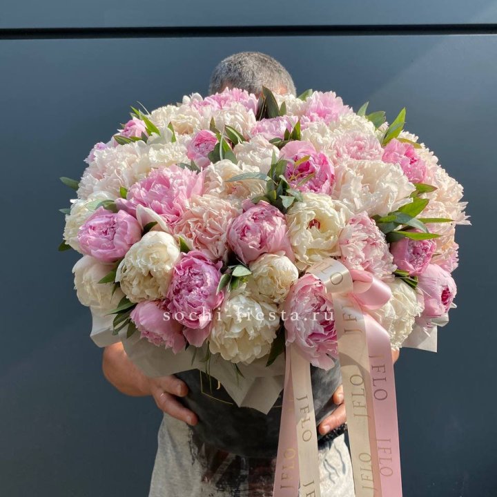 51 пионов в боксе в Адлере