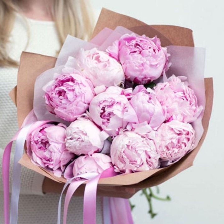 11 нежных пионов в Адлере