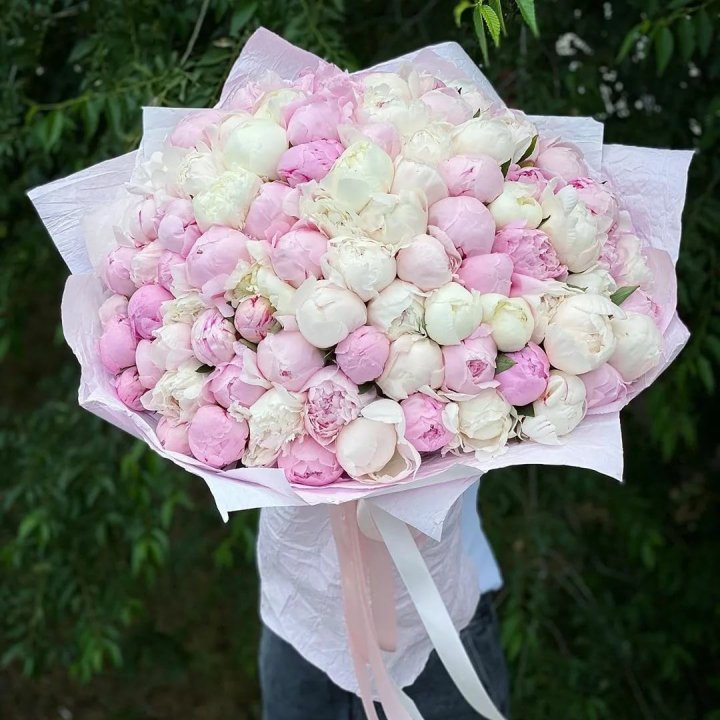 101 пион в Адлере