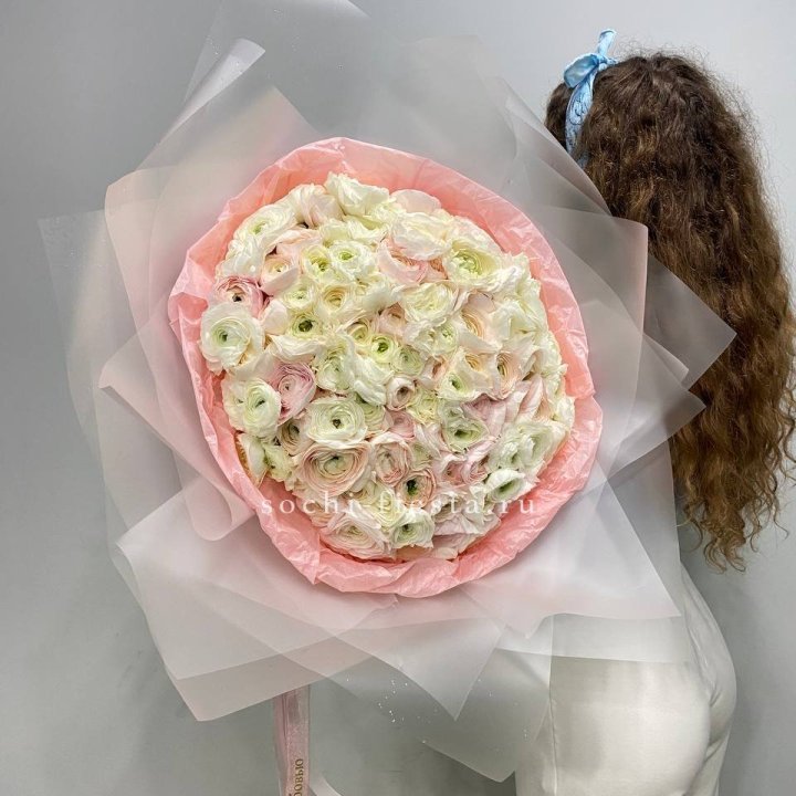 113 ранункулюсов  в Адлере