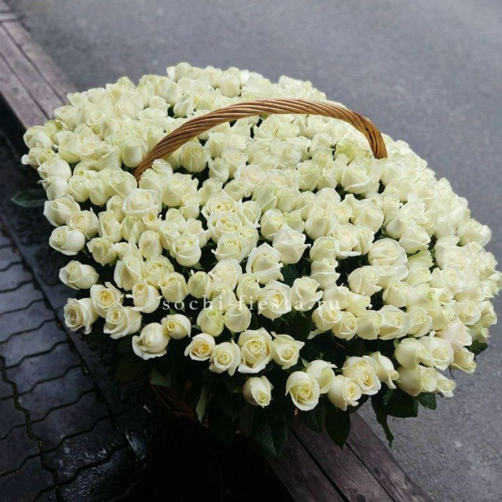 303 розы в корзине в Адлере