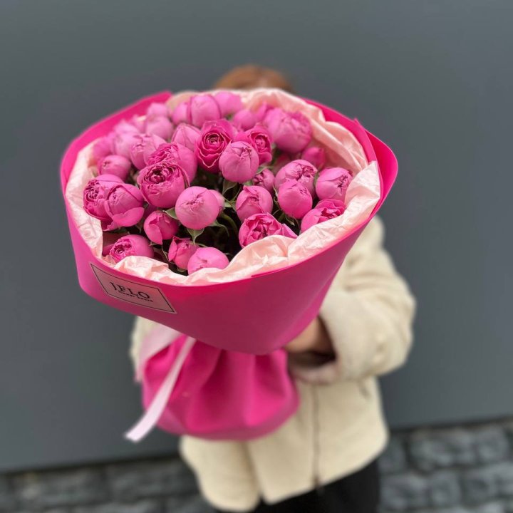 11 мисти баблс в Адлере