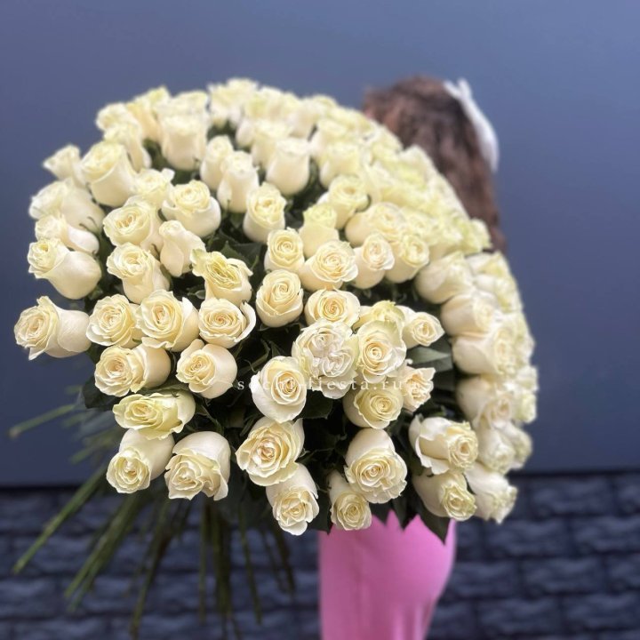 101 белая высокая импортная роза под ленту в Адлере