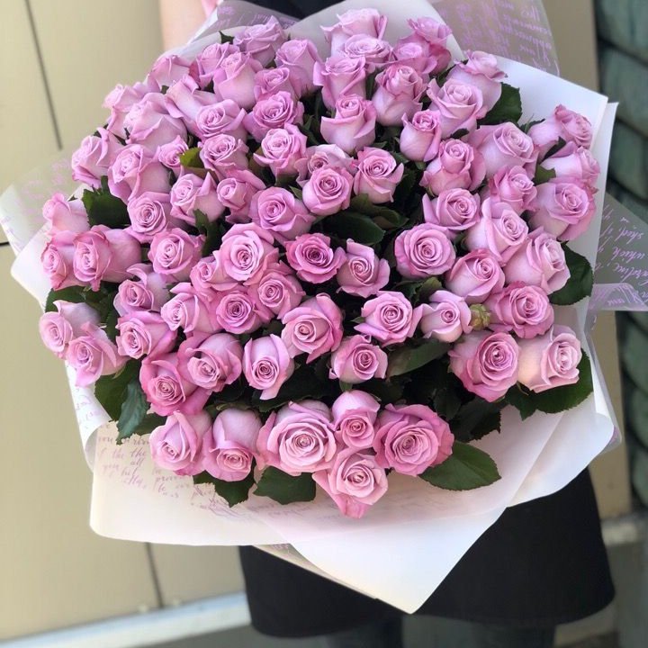 71 розовая роза "Маритим" в Адлере